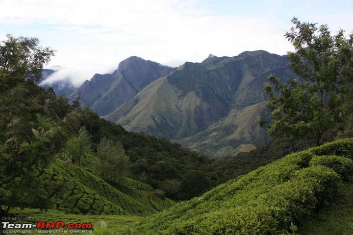 Great Mountain Challenge - Munnar (Kerala) 3rd/4th Dec 2010! Cancelled!-69340_141820322532380_100001132388349_235895_8175755_n.jpg