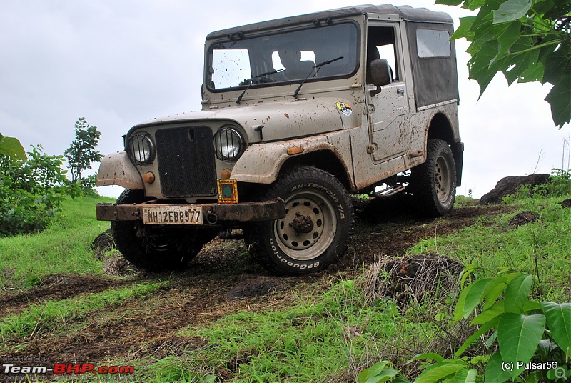 The 2011 Alfa kilo Challenge Conquered!-dsc_6198.jpg