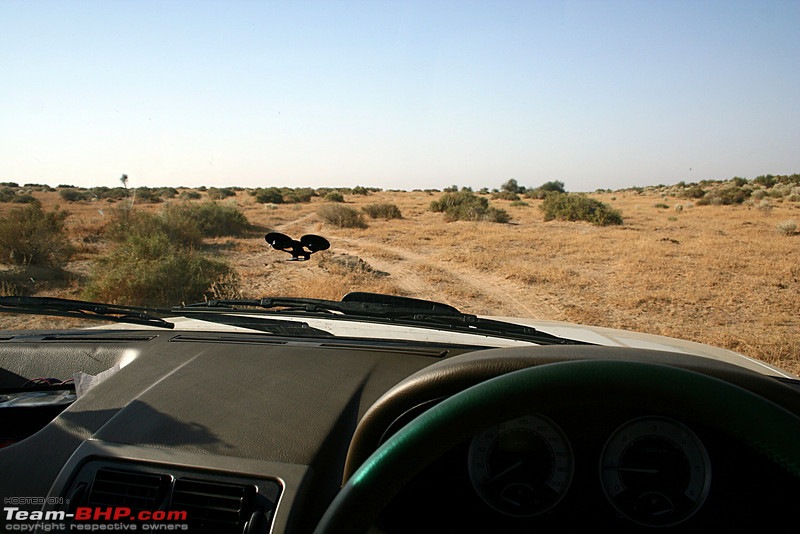 Tata Safari 4x4 The Off Road, and No road journeys-393675278_pawxwl.jpg