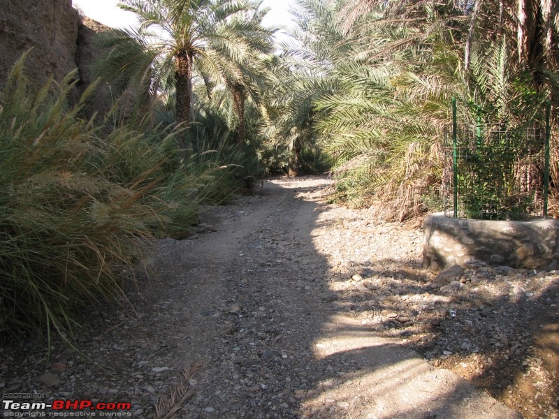 Photologs of Mountains & Wadis in UAE-canon-017.jpg