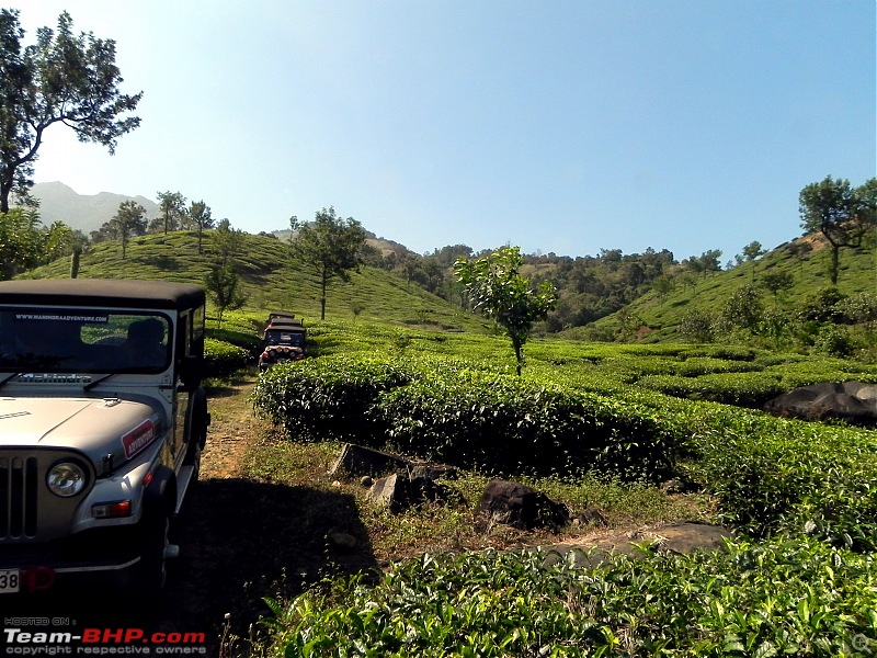 Mahindra Thar Gets a Deserving 1st B'Day, Offroading in Wayanad!!-dscn5694.jpg