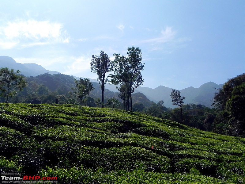 Mahindra Thar Gets a Deserving 1st B'Day, Offroading in Wayanad!!-dscn5701.jpg