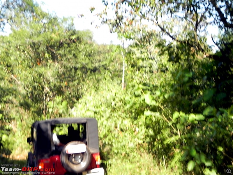 Mahindra Thar Gets a Deserving 1st B'Day, Offroading in Wayanad!!-dscn5706.jpg