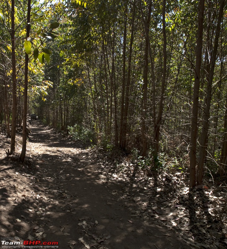 Offroading in Gods Own Country: The Munnar MGE & JT Event-p1252962.jpg