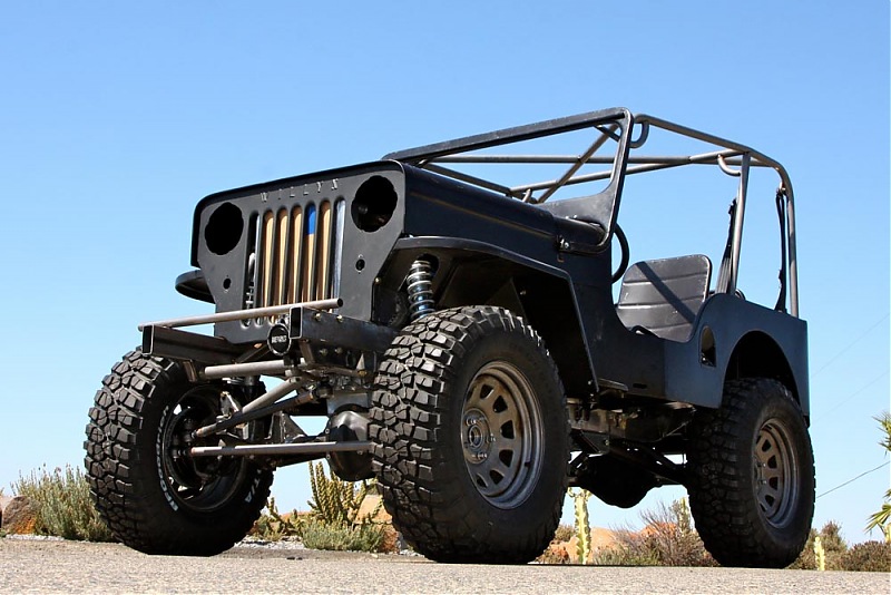 Exterior roll cage for a 4x4-dogprotolf.jpg