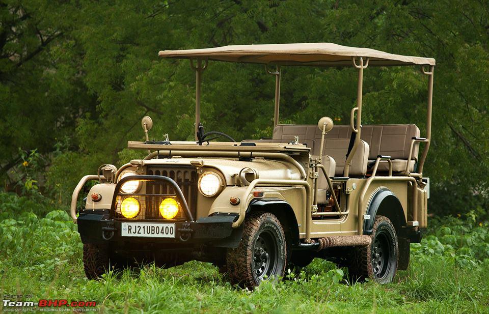 jungle safari car