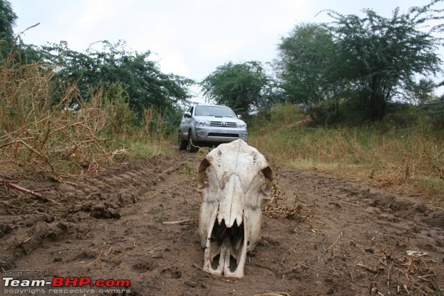 Took a Fortuner offroading through the outback-f02.jpg