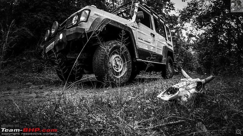 4x4 Offroaders like the Thar & Gurkha : Soft-Top vs Hard-Top vs Convertible-whatsapp-image-20200903-16.16.10-1.jpeg