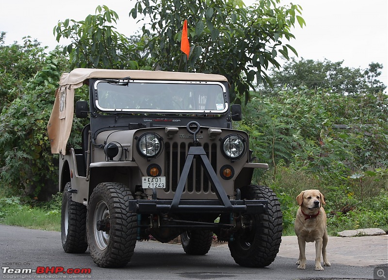 Got Jeep! CJ3B Hurricane.-img_2409.jpg