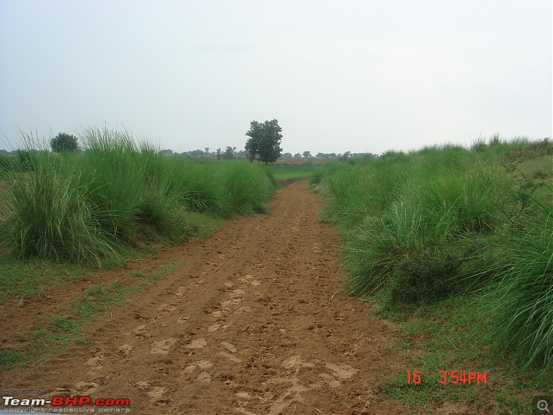 Fooling around in our Scorpio 2WD-dabra-027.jpg