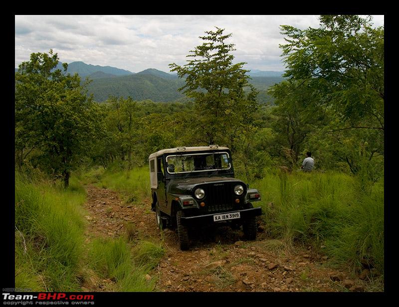 Name:  jeep3.jpg
Views: 31847
Size:  196.0 KB
