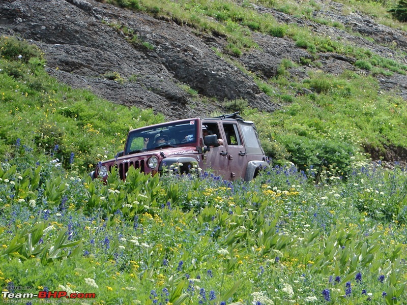 Evolution of my Jeep Rubicon-dsc05467.jpg