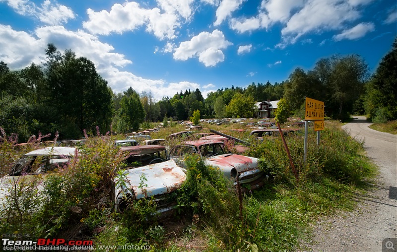 Where old cars go to die-aaaaa.jpg