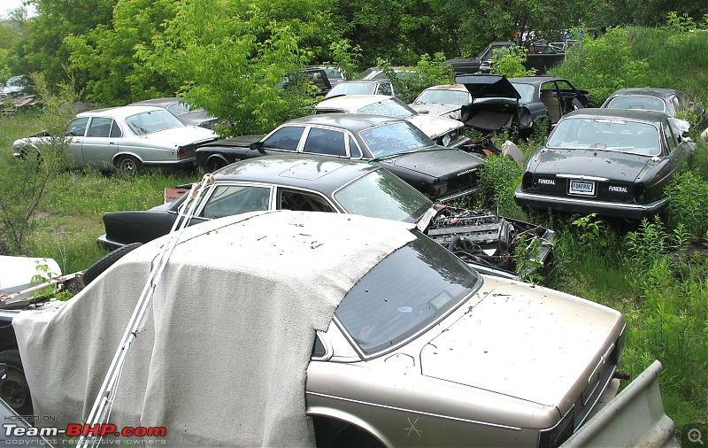 Pics of Vintage Cars rusting - Across the world-img_4945.jpg