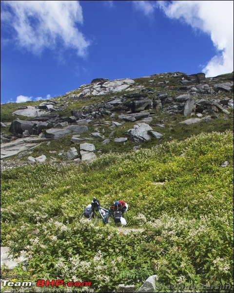 Extreme Expedition - Bicycling Manali-TsoKar-Leh-Khardungla & Stok Kangri summit trek-kothi-marhii20.jpg