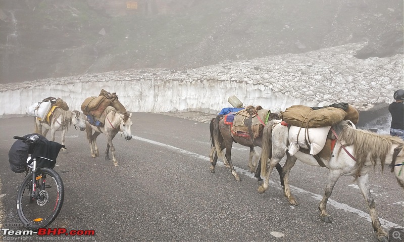 My 9 days of cycling on the Manali-Leh Highway-img_20170801_110549.jpg