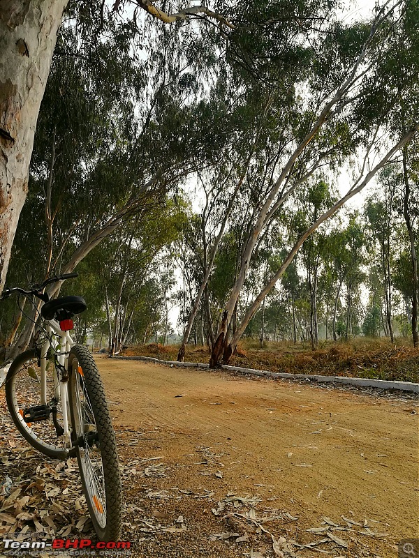 Cycling on a Sunday morning! Pala-Pitta Cycling Track, Hyderabad-random-1.jpeg