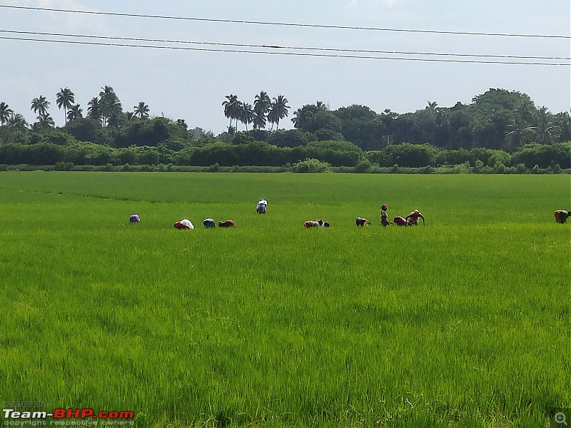 Life in the slow lane, at 20 kmph-img_20200106_114707.jpg