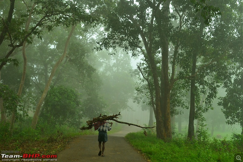 A Bicycle Tour in the Eastern Ghats of Andhra!-csc_0334.jpg