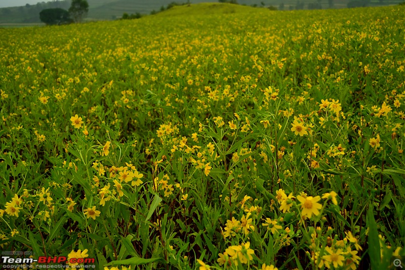 A Bicycle Tour in the Eastern Ghats of Andhra!-csc_0495.jpg