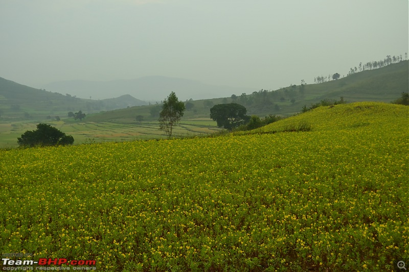 A Bicycle Tour in the Eastern Ghats of Andhra!-csc_0507.jpg