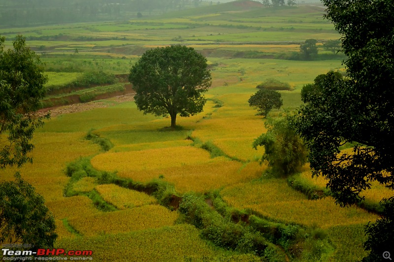 A Bicycle Tour in the Eastern Ghats of Andhra!-csc_0513.jpg