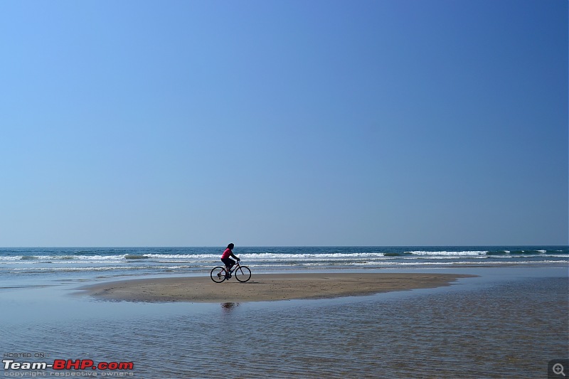 A 250 km bicycle ride along the Konkan Coast-csc_1012.jpg