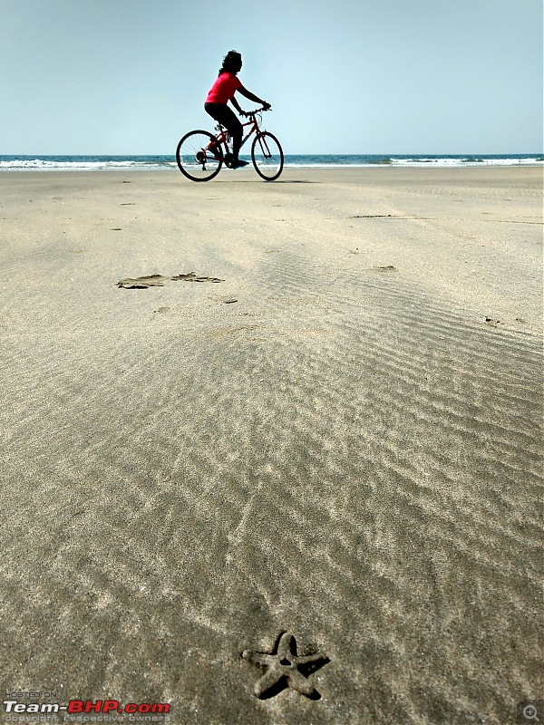 A 250 km bicycle ride along the Konkan Coast-img_20161223_134114441_hdr.jpg