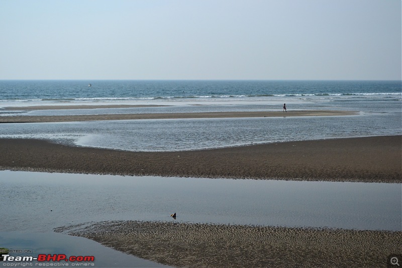 A 250 km bicycle ride along the Konkan Coast-csc_0996.jpg