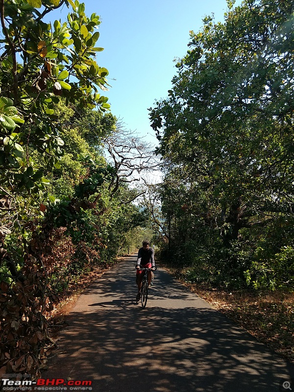 A 250 km bicycle ride along the Konkan Coast-img_20161224_131909098.jpg