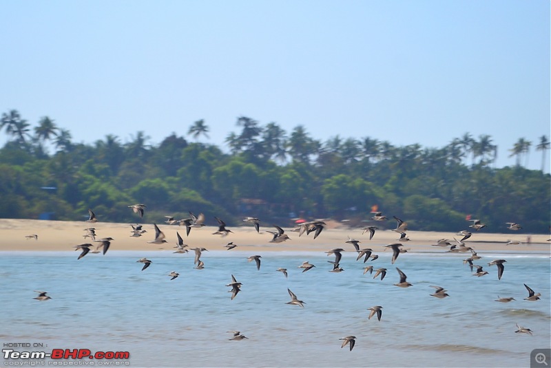 A 250 km bicycle ride along the Konkan Coast-csc_1037.jpg