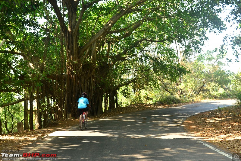 A 250 km bicycle ride along the Konkan Coast-csc_1074.jpg