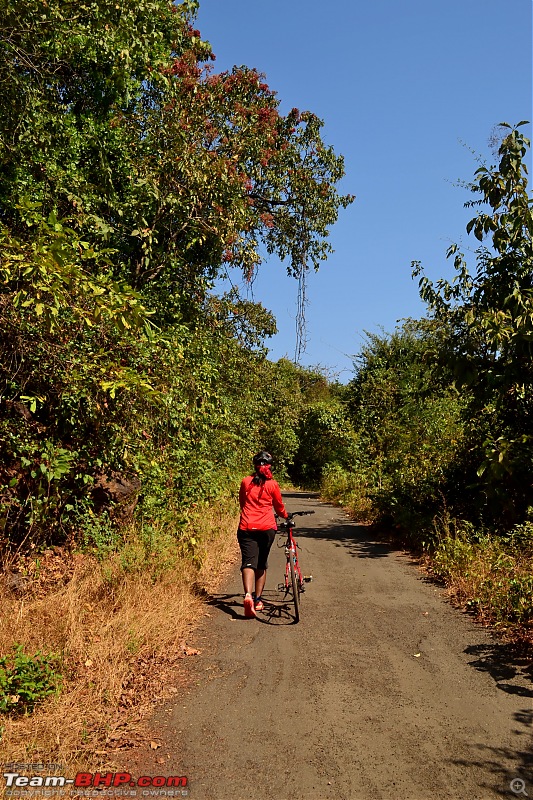 A 250 km bicycle ride along the Konkan Coast-csc_1115.jpg