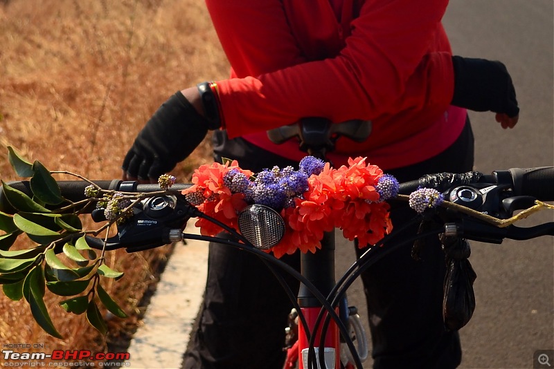 A 250 km bicycle ride along the Konkan Coast-csc_1116.jpg