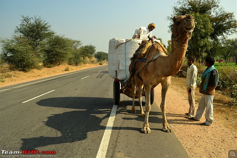 Rajasthan on a Bicycle-csc_0225.jpg