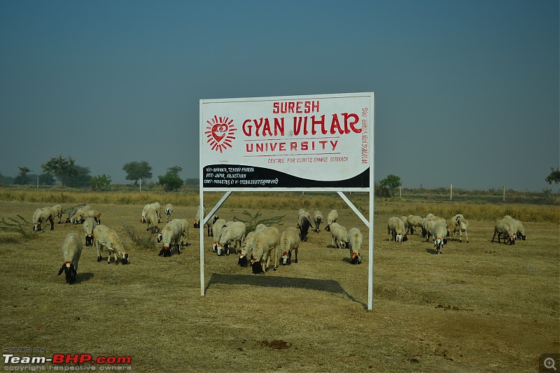 Rajasthan on a Bicycle-csc_0245.jpg