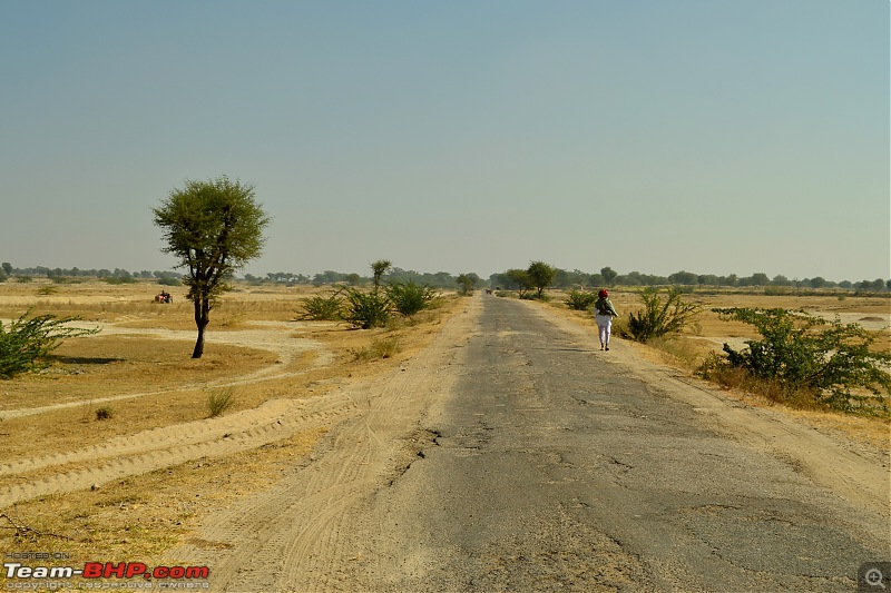 Rajasthan on a Bicycle-csc_0281.jpg