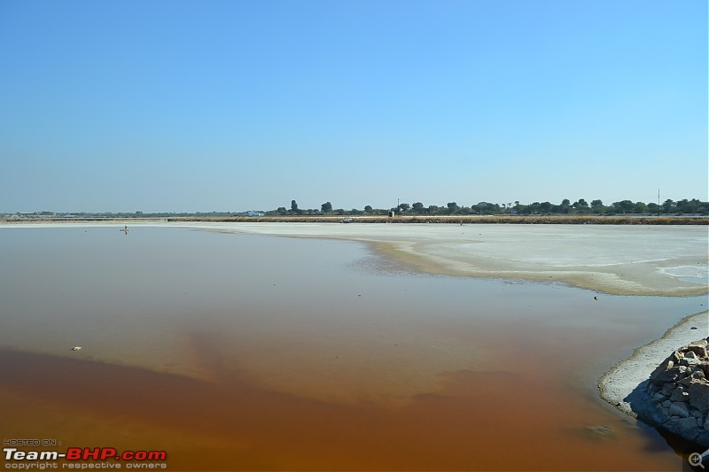 Rajasthan on a Bicycle-csc_0290.jpg