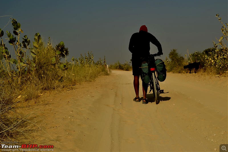 Rajasthan on a Bicycle-csc_0801.jpg