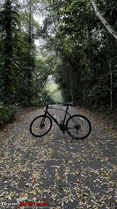 Post pictures of your Bicycle on day trips here!-img_9884.jpg