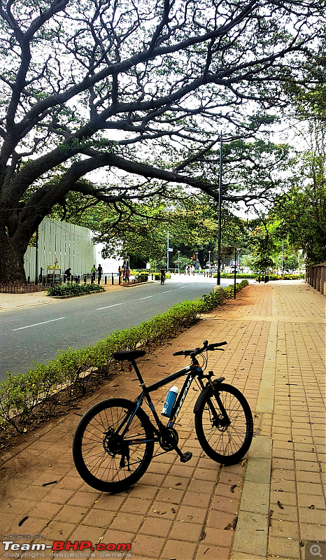 Post pictures of your Bicycle on day trips here!-screenshot_20210410221301.png