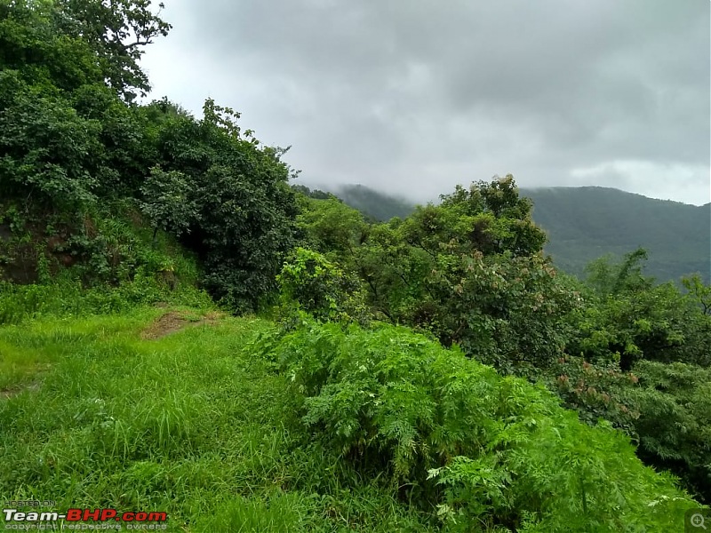 Post pictures of your Bicycle on day trips here!-whatsapp-image-20210731-6.14.12-pm-3.jpeg