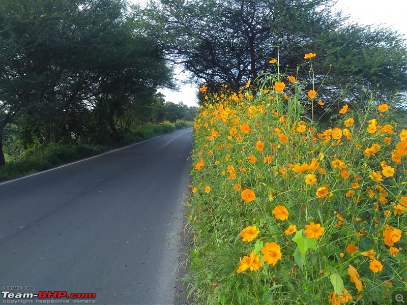 Post pictures of your Bicycle on day trips here!-whatsapp-image-20210926-8.35.10-am-3.jpeg