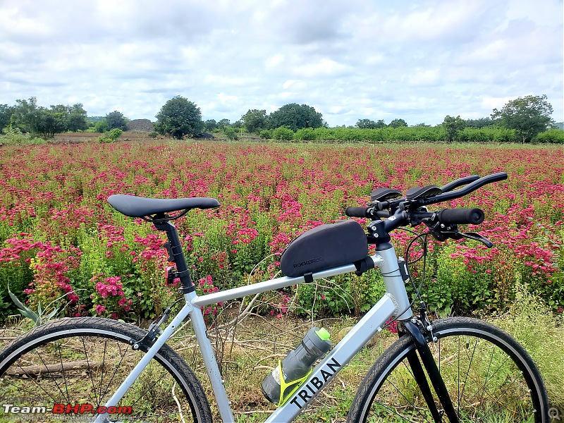 Post pictures of your Bicycle on day trips here!-20211002_115805.jpg