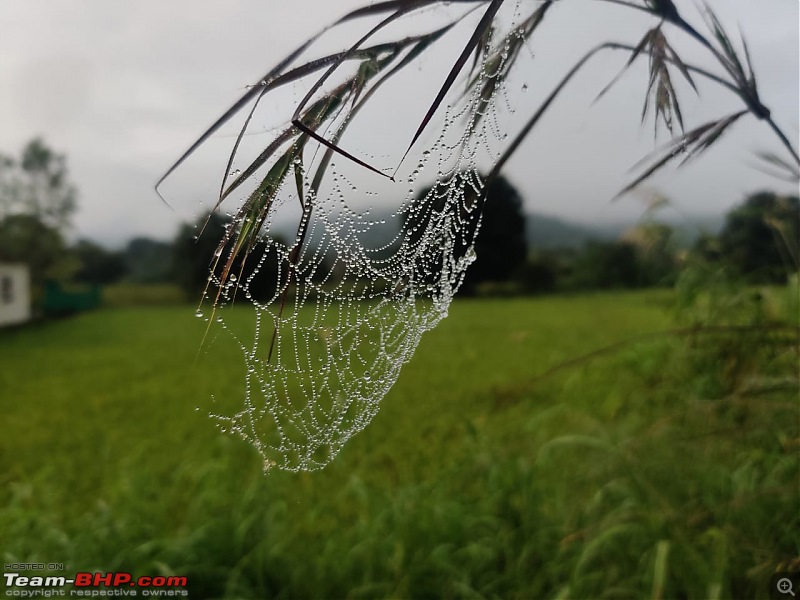 Post pictures of your Bicycle on day trips here!-whatsapp-image-20211003-1.20.01-pm-1.jpeg