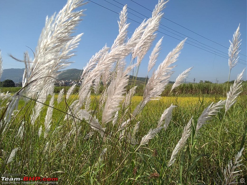 Post pictures of your Bicycle on day trips here!-whatsapp-image-20211023-11.03.47-am-1.jpeg