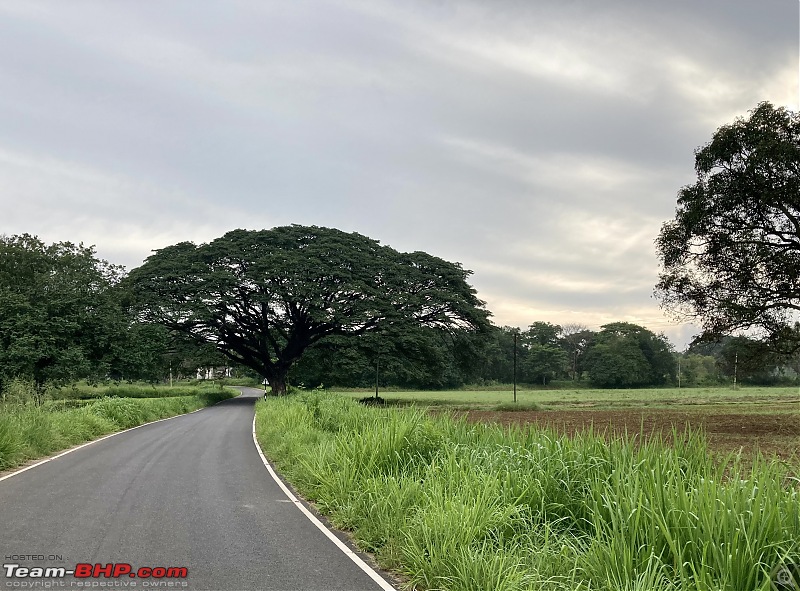 Cycling destinations around Bengaluru-hesarghattaawesomeroad.jpg