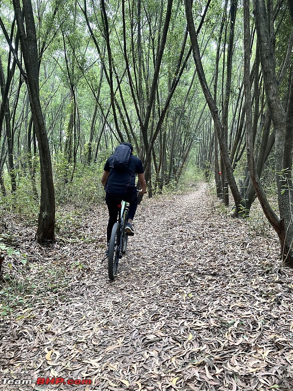 Cycling destinations around Bengaluru-turahalliforest.jpg
