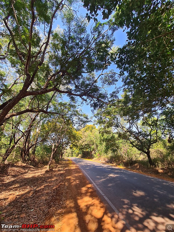 Trails of a cyclist | Traversing the Karnataka coastline-20220303_101139.jpg