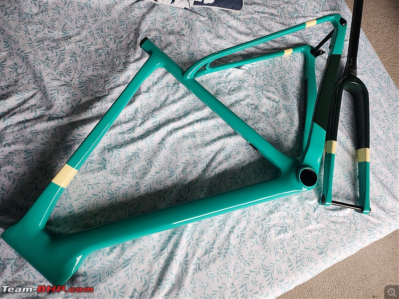 Project Chinondale | Building a Carbon-Fiber Bike from scratch-20221031_105530.jpg